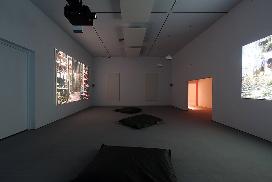 Paradise Lost, 18 January – 30 March 2014, Installation view: Fiona Tan, Disorient (2009).