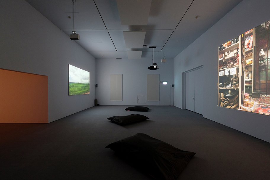 Paradise Lost, 18 January – 30 March 2014, Installation view: Fiona Tan, Disorient (2009).
