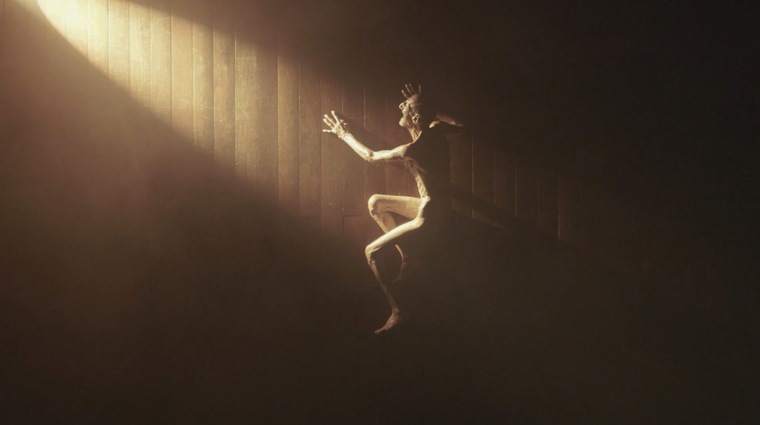 <span>Russell Morton, </span><em>The Forest of Copper Columns</em><span>, 2015, HD Video. Courtesy the artist.</span>