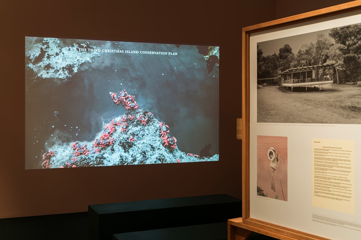 The Institute of Critical Zoologists by Robert Zhao Renhui