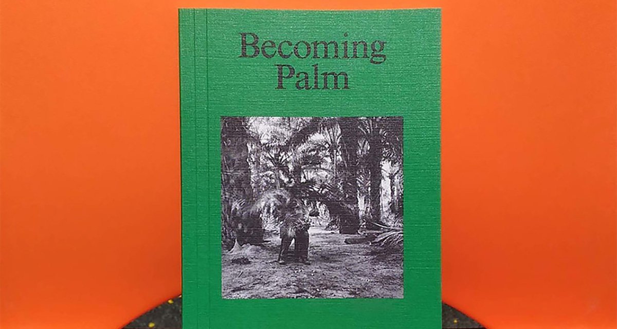 Becoming Palm