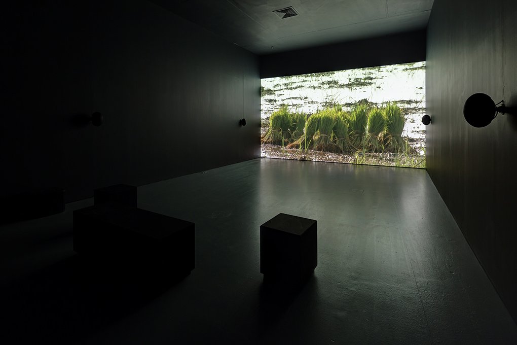 Amar Kanwar: The Sovereign Forest in collaboration with Sudhir Pattnaik/Samadrusti and Sherna Dastur