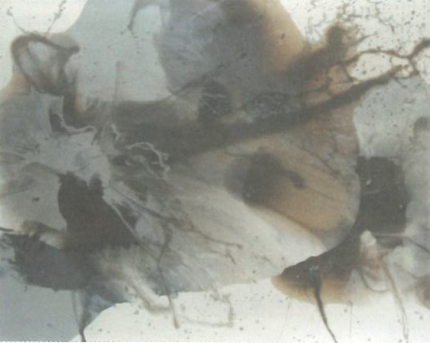 Arin Dwihartanto Sunaryo