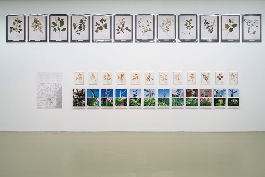 Jef Geys Quadra Medicinale Singapore