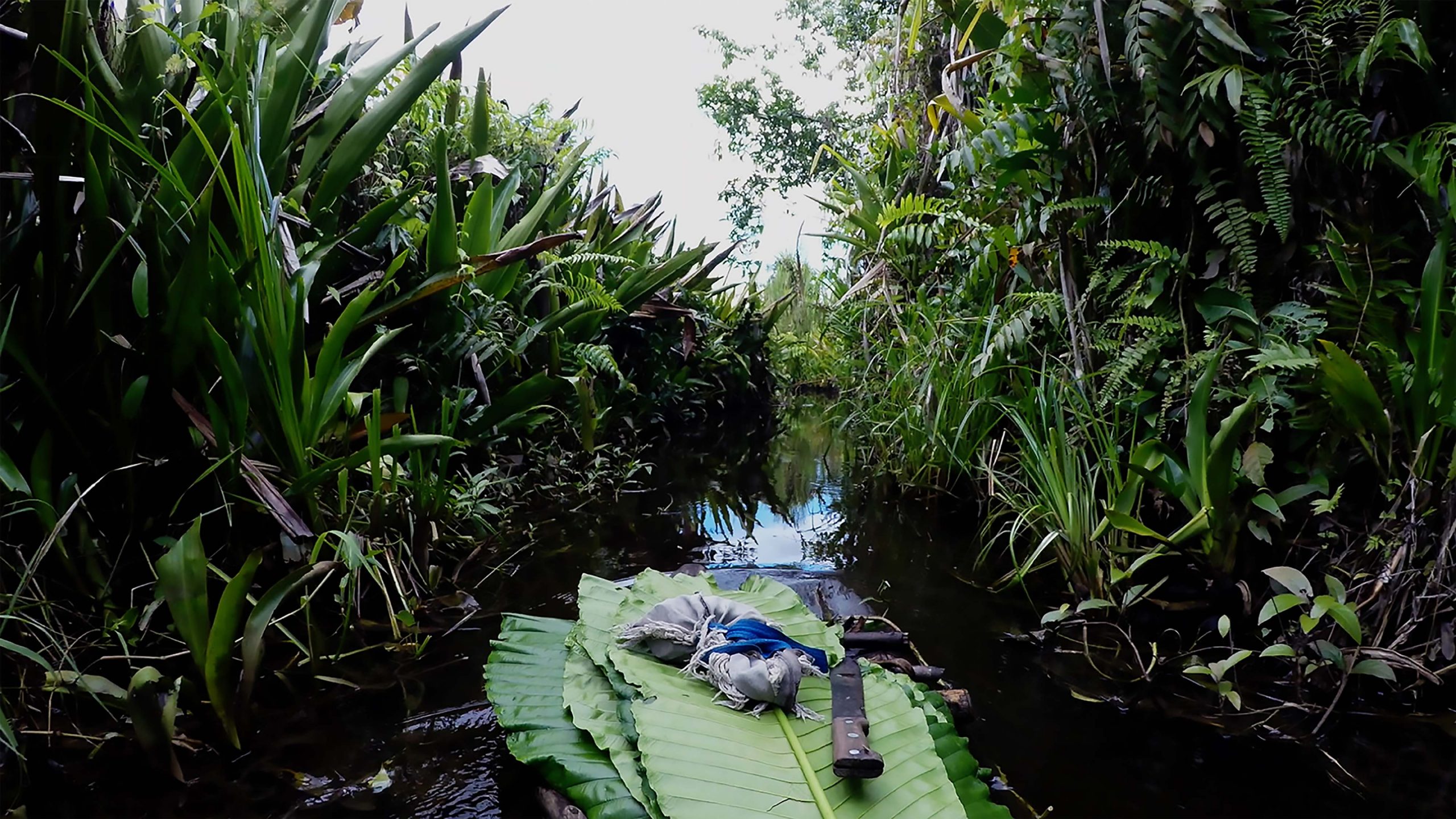 <span>Taloi Havini, </span><em>Habitat I: Konawiru</em><span>, 2016, HD single channel video. Courtesy the artist.</span>