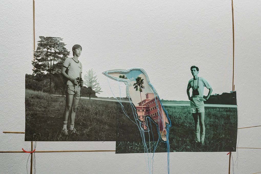 The Migrant Ecologies Project by Lucy Davis