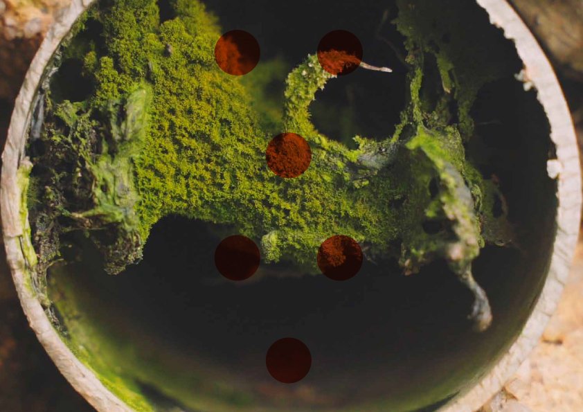 Free Jazz IV. Geomancers