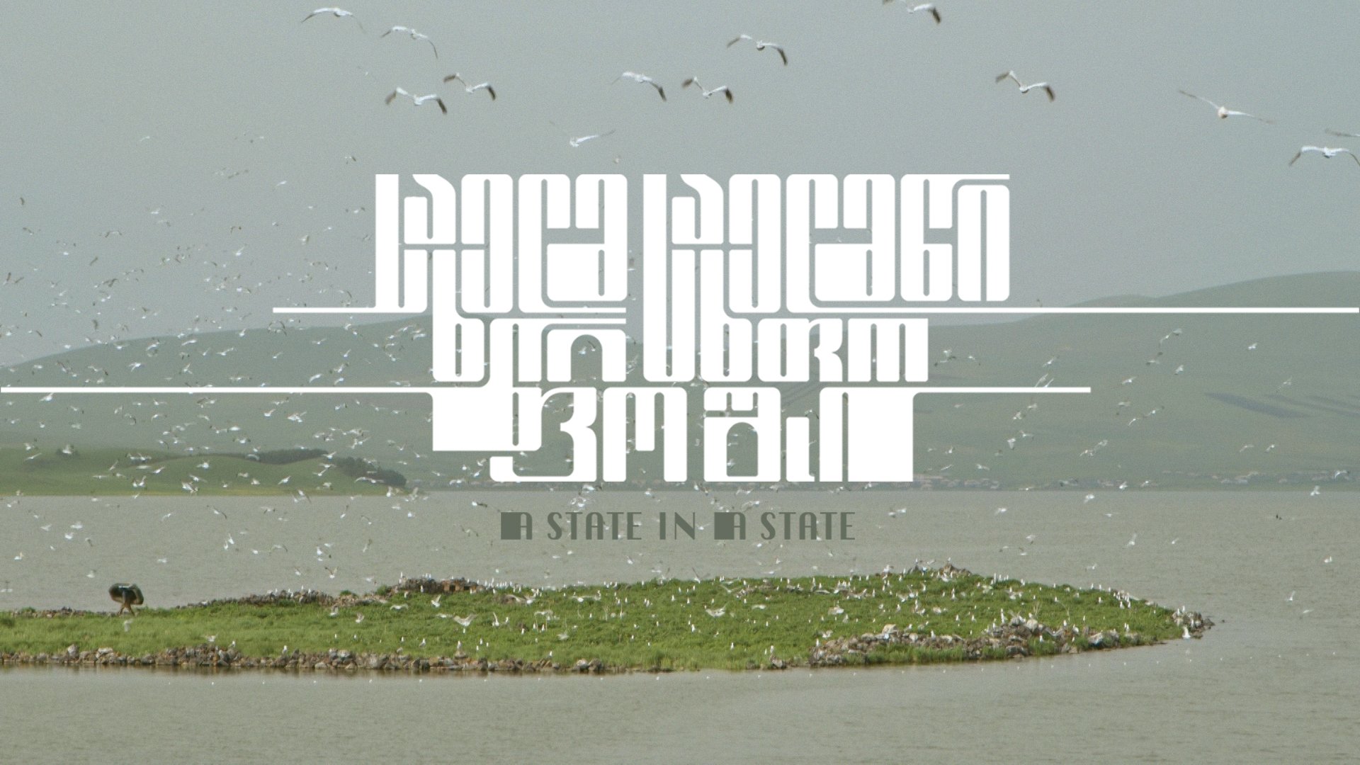 Header for A State in a State by Tekla Aslanishvili