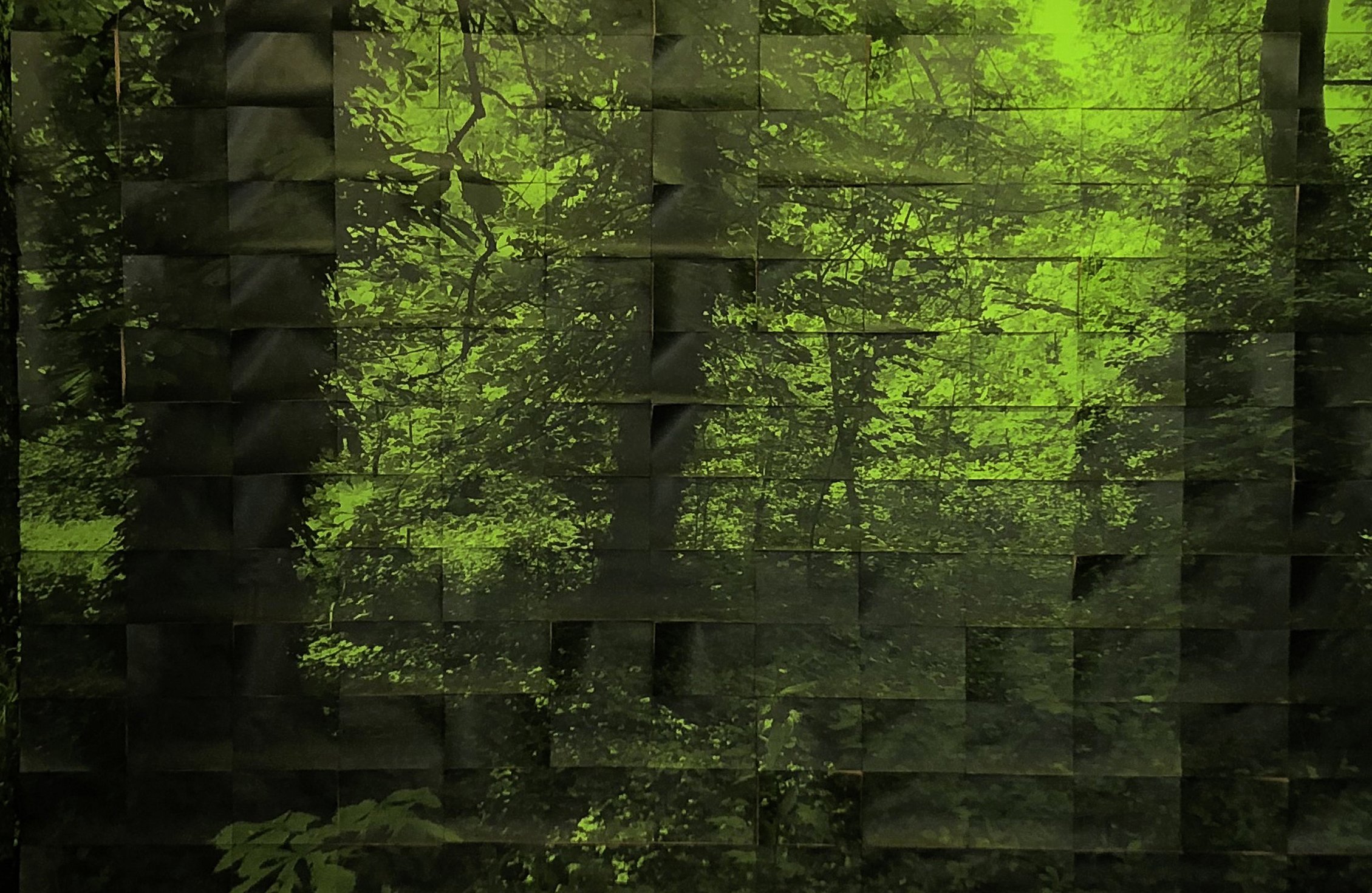 Hoo Fan Chon, Citra Sasmita, Vuth Lyno: New Works