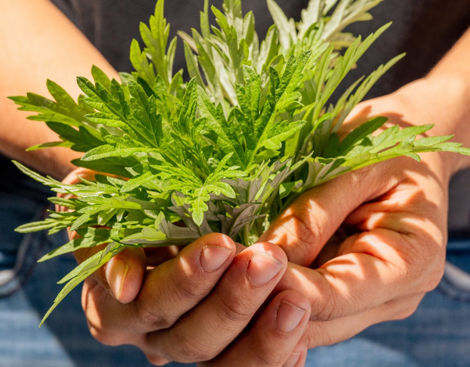 NTU CCA IdeasFest 2023 Exhibitions