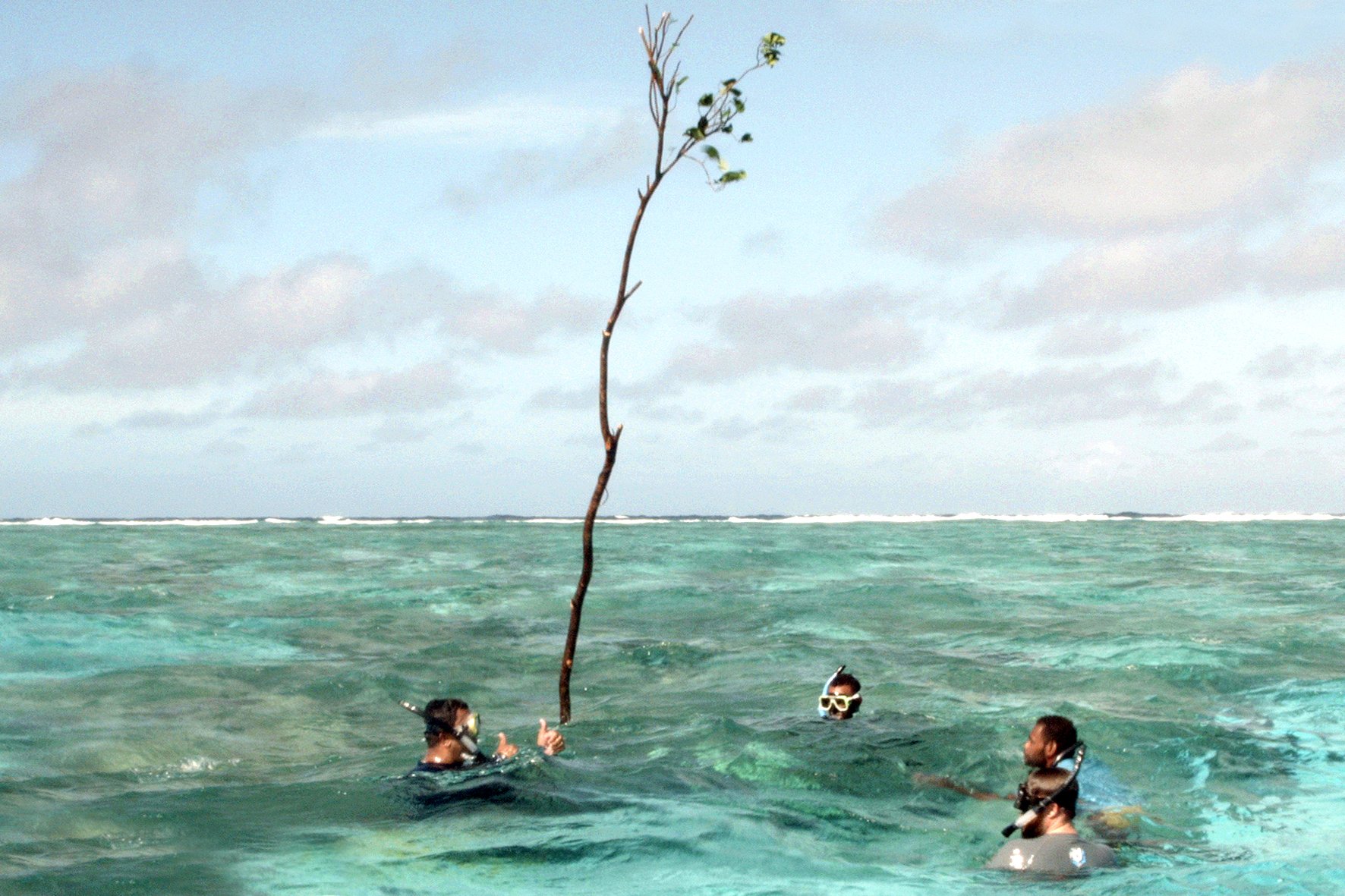 Call for Papers: 3CL