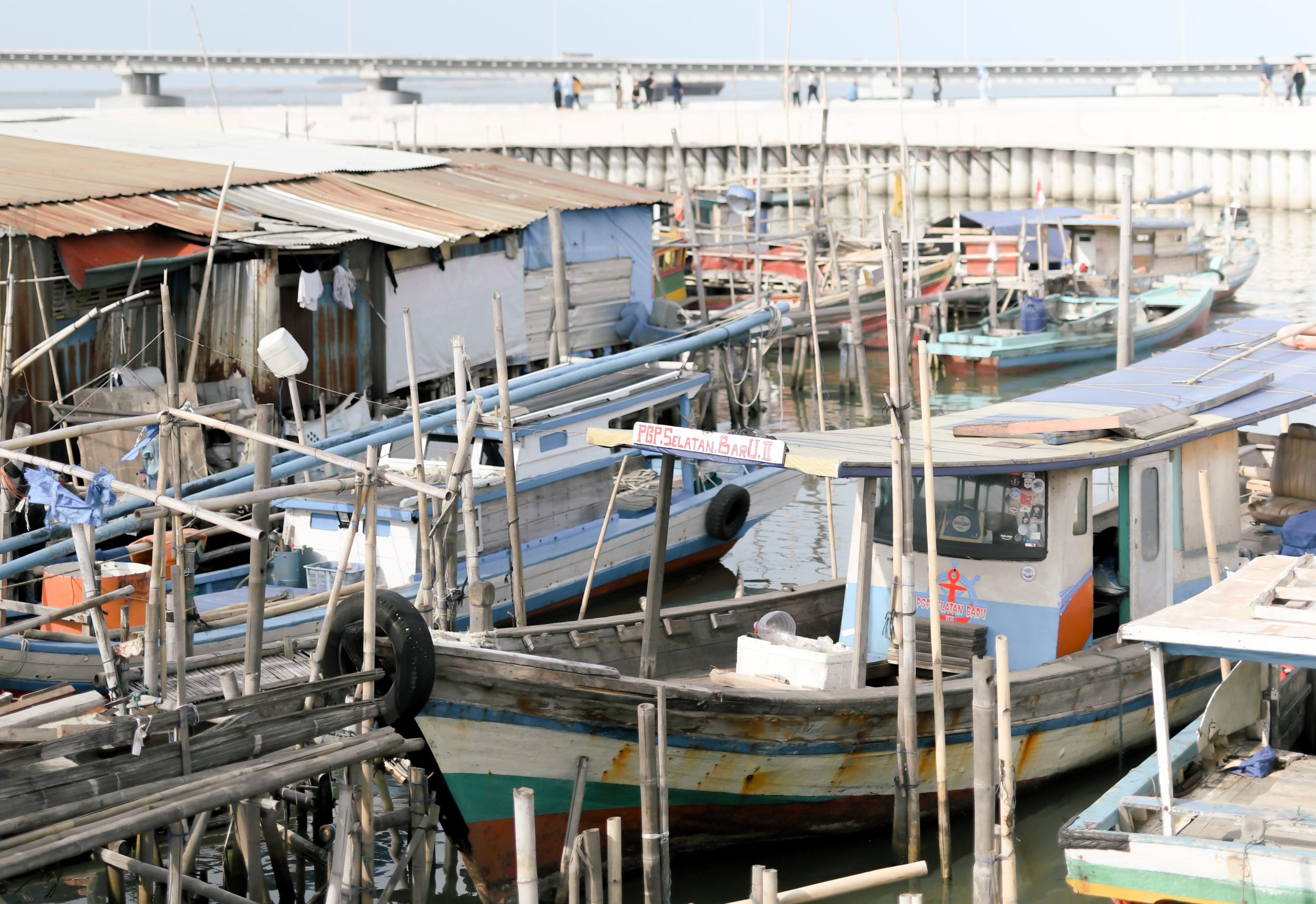 Climate Futures #2: Belonging & Shared Responsibilities