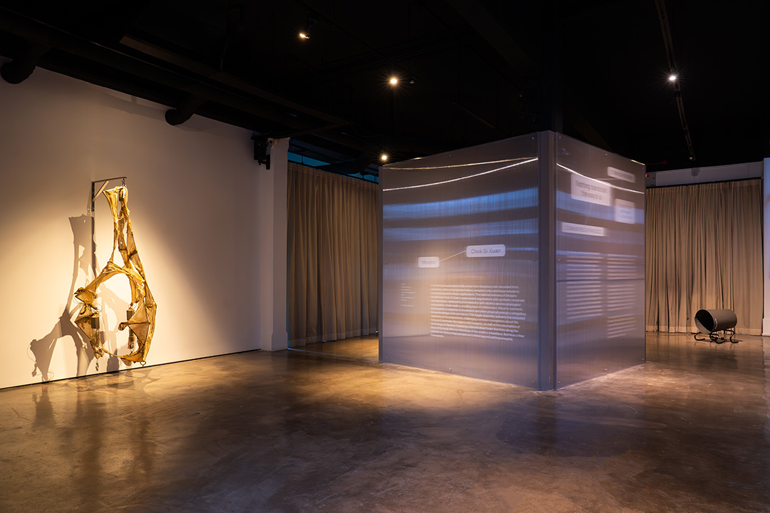 An art exhibition view