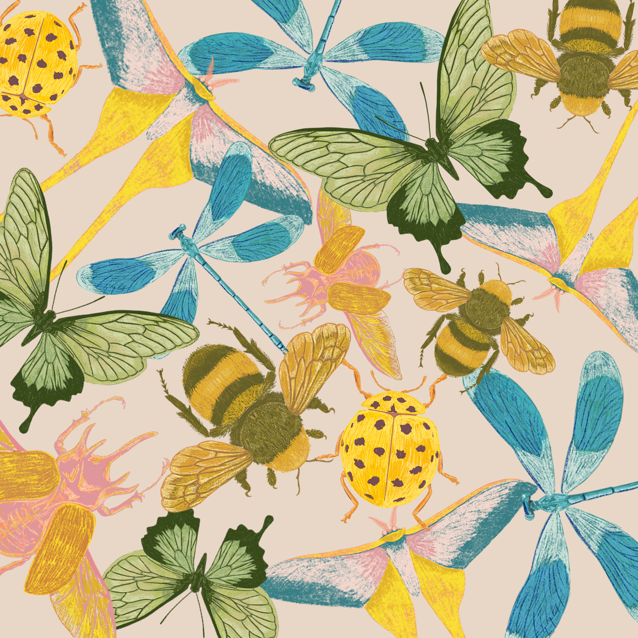 colourful drawing of insects