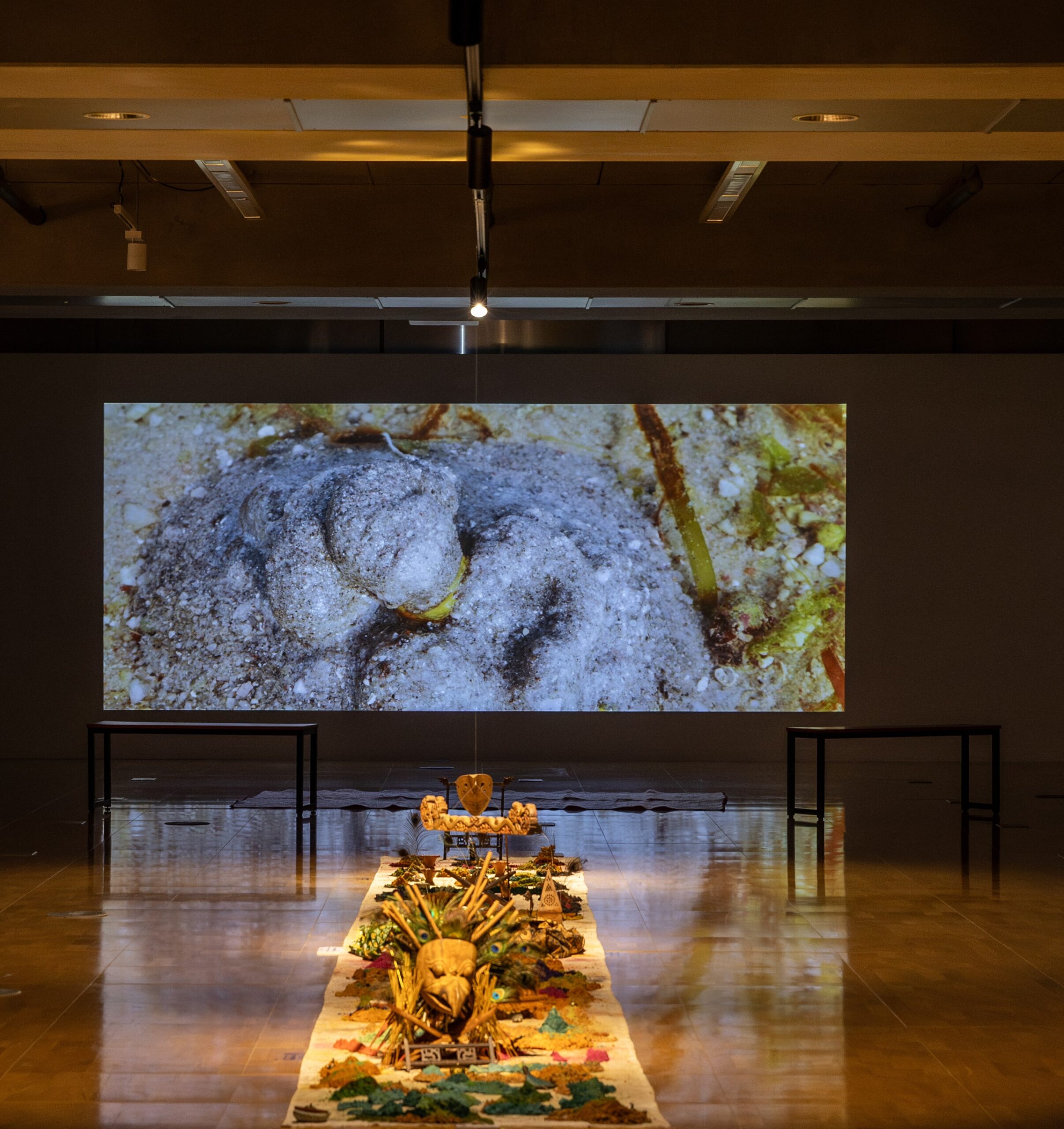 Zarina Muhammad, Turn Your Face to the Wind and Follow the Movement of the Sun, mixed media installation, ASEAN Pavillions, 15th Gwangju Biennale, 2024. Courtesy Gwangju Biennale