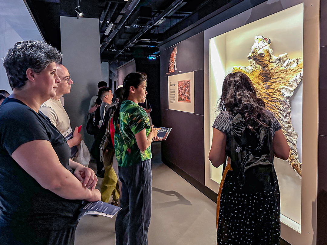 DESIGN EARTH Workshop: Elephant in the Room and Other Creatures, 13 - 19 June 2025. Photo by Eunice Lacaste. Courtesy NTU Centre for Contemporary Art Singapore