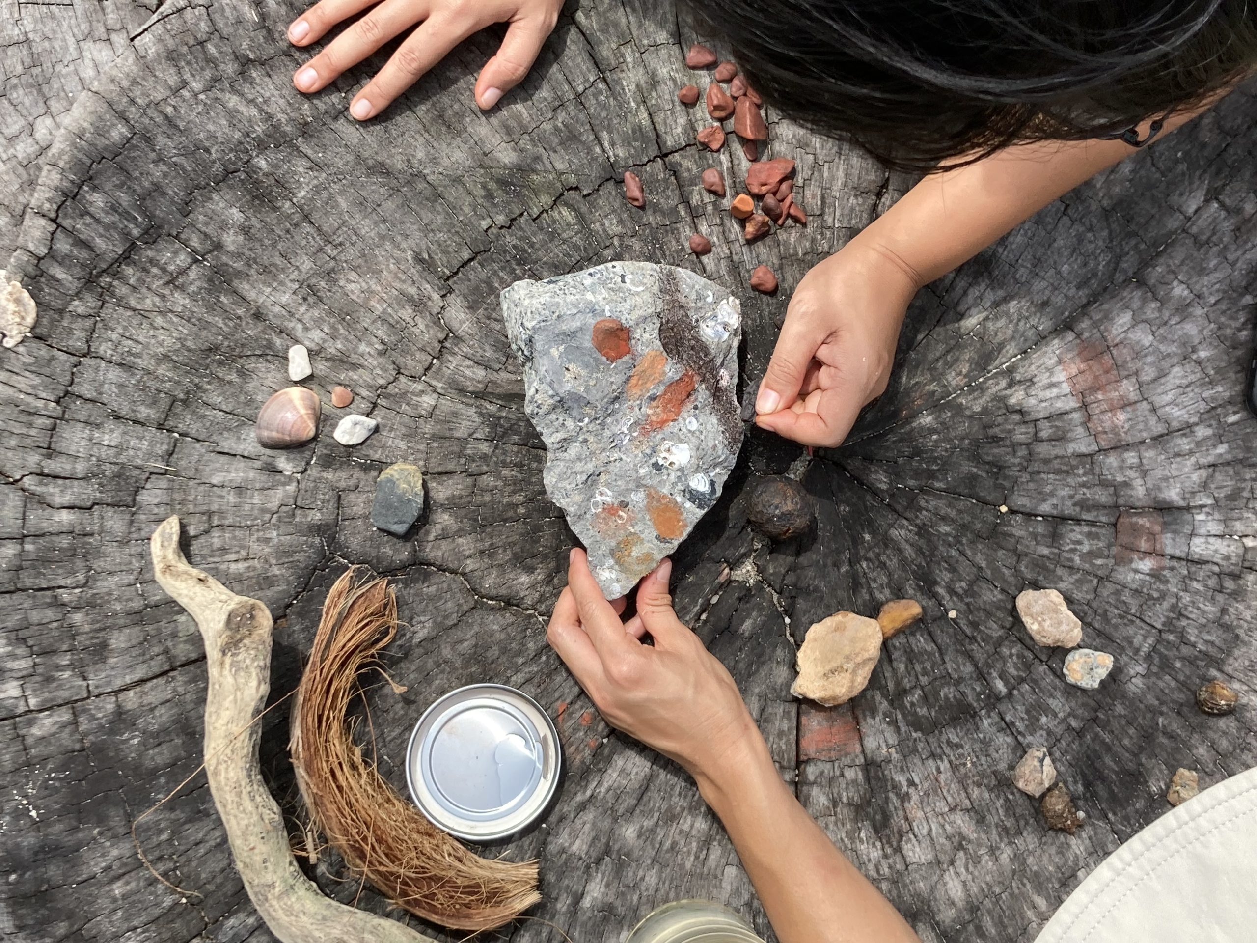 Finding earth colours along West Coast Park. Courtesy Wild Dot. 