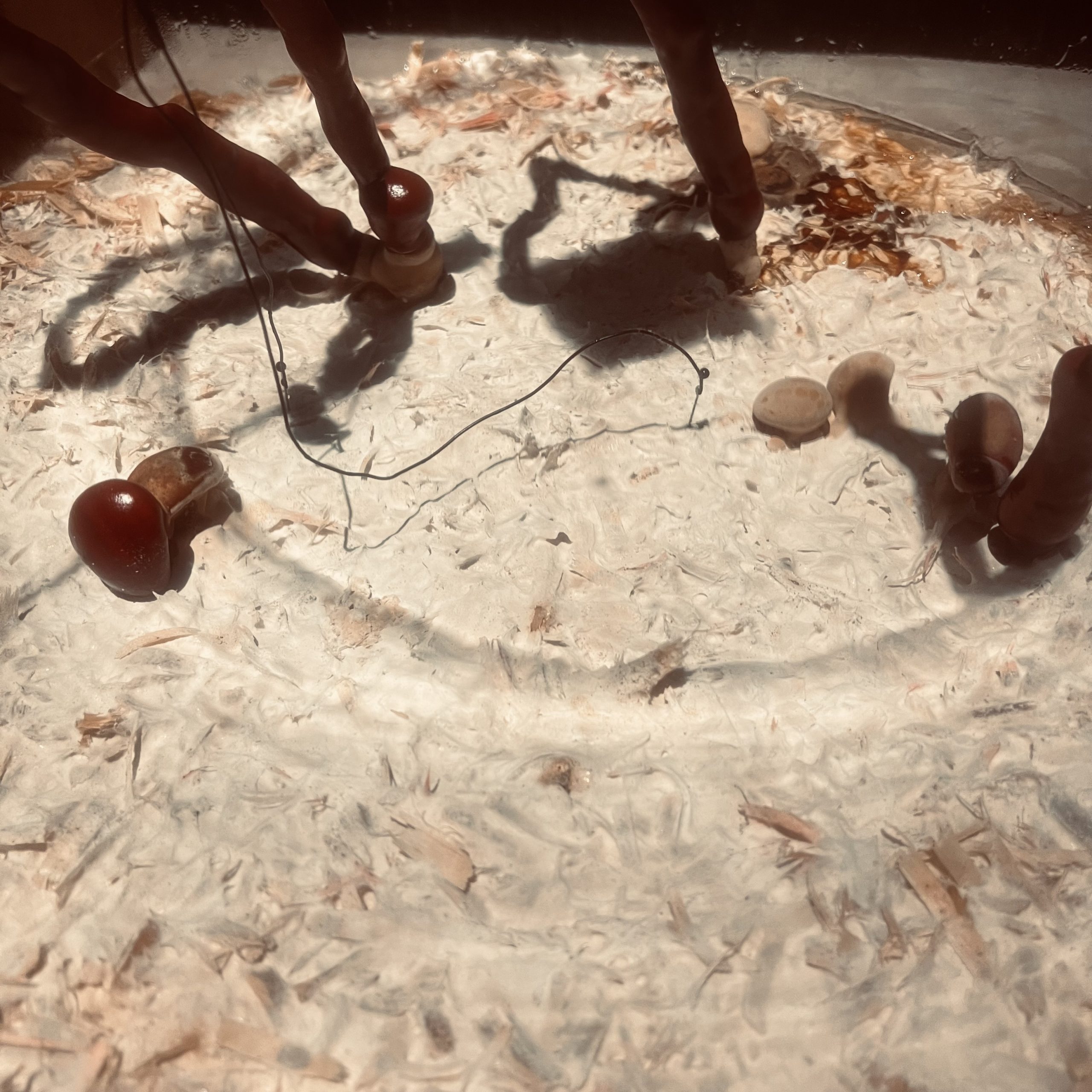 The Observatory, REFUSE, detail, 2022, Singapore Art Museum. Photo: Yuen Chee Wai. Courtesy the artists. 